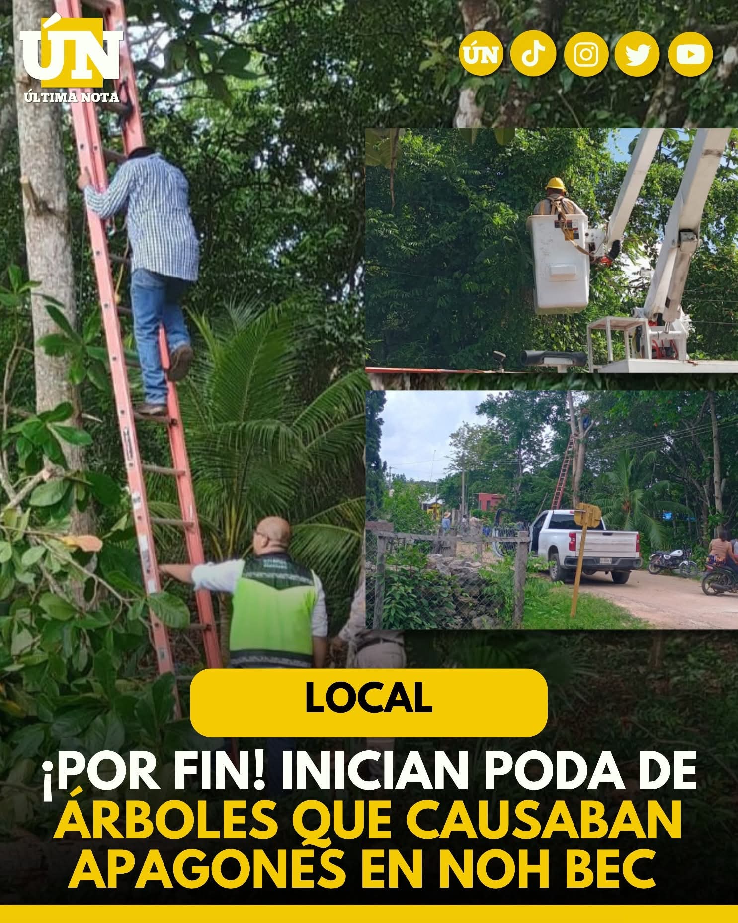 ¡Por fin! Inician poda de árboles que causaban apagones en Noh Bec.