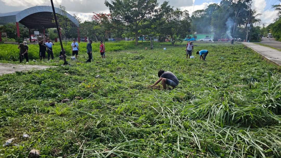 Reactivan las faenas y reforestación en Felipe Carrillo Puerto