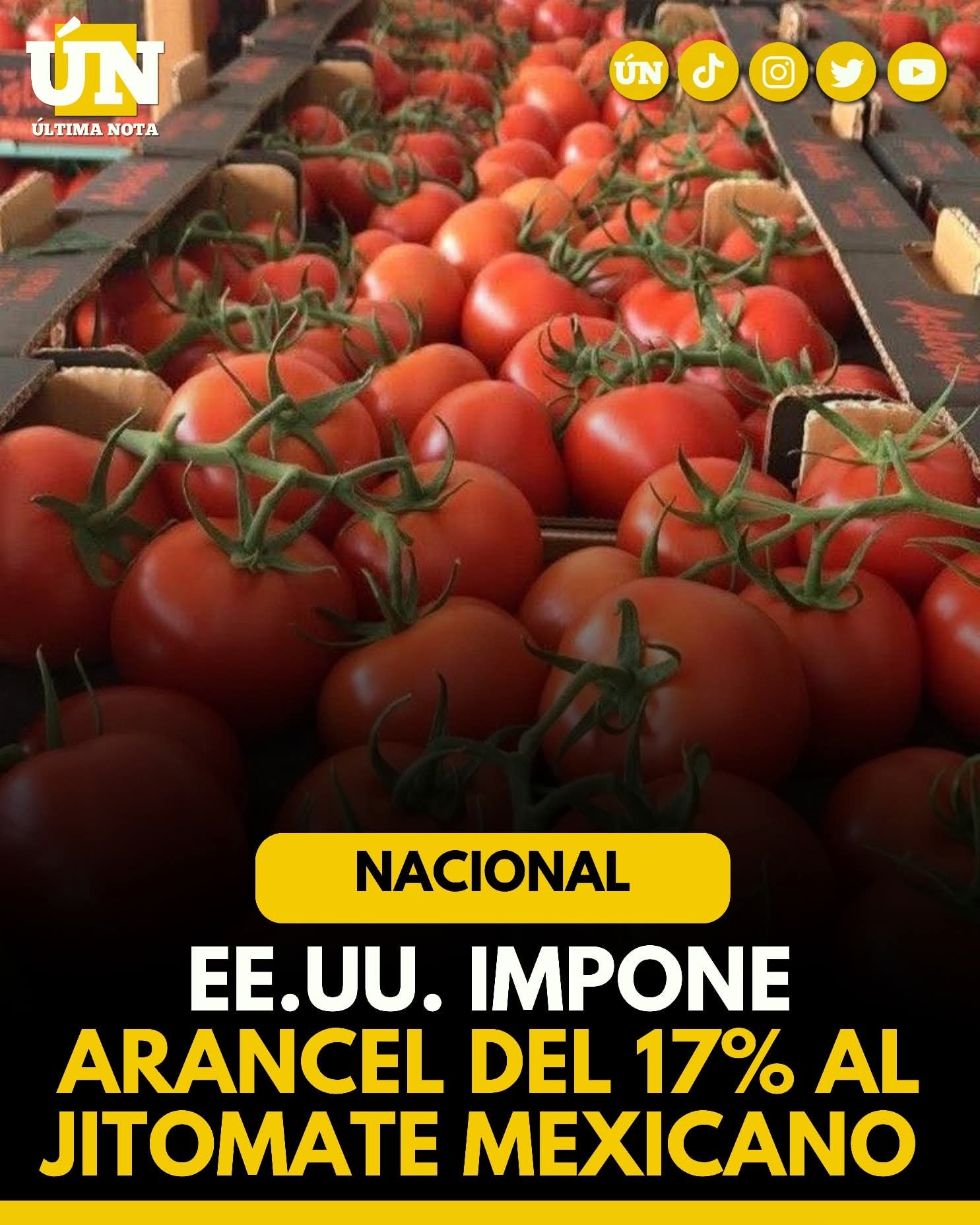 EE.UU. impone arancel del 17% al jitomate mexicano: peligra el comercio binacional y miles de empleos.
