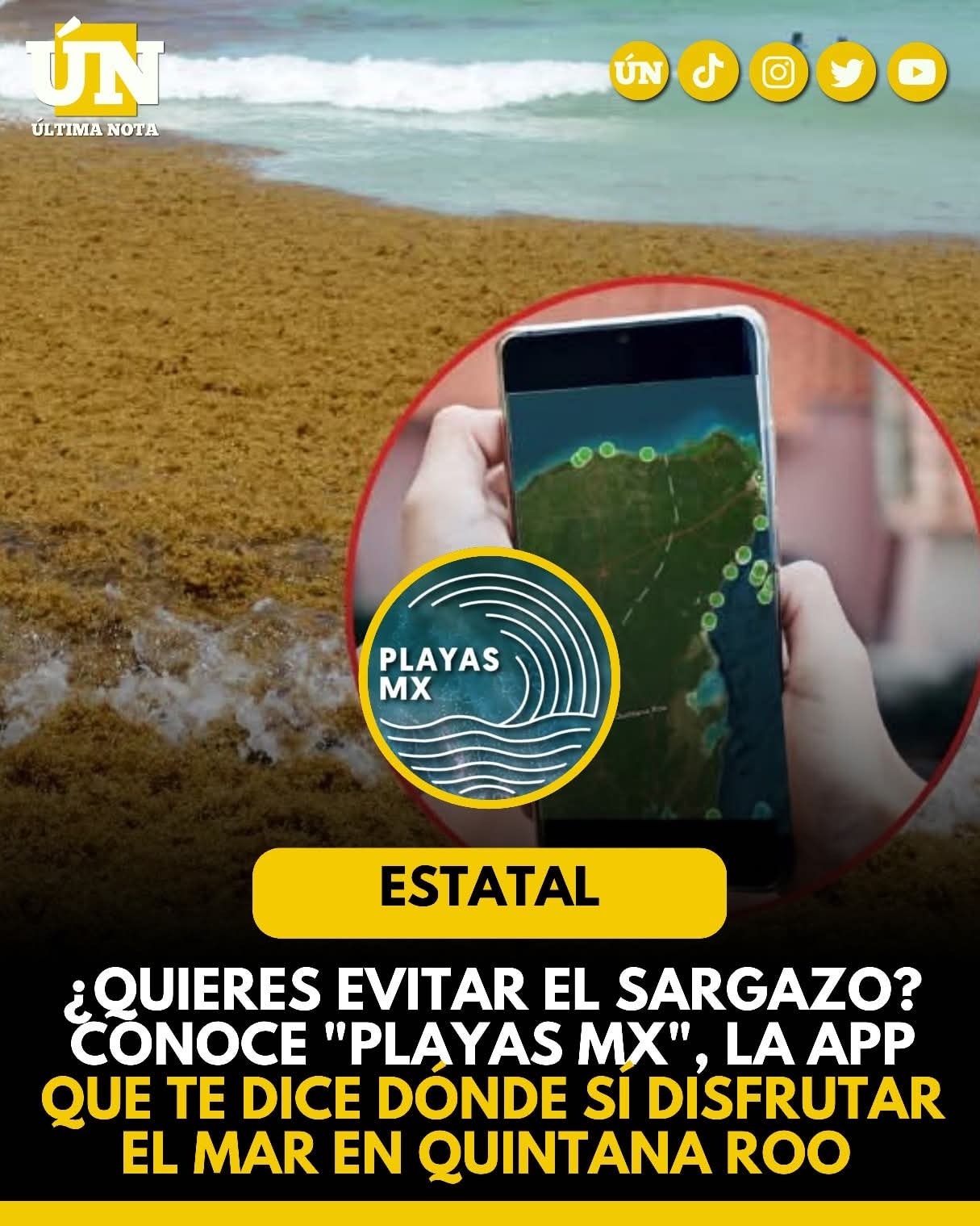 ¿Quieres evitar el sargazo? Conoce “Playas MX”, la app que te dice dónde sí disfrutar el mar en Quintana Roo.