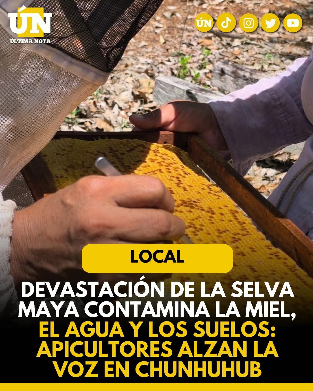 Devastación de la selva maya contamina la miel, el agua y los suelos: apicultores alzan la voz en Chunhuhub.