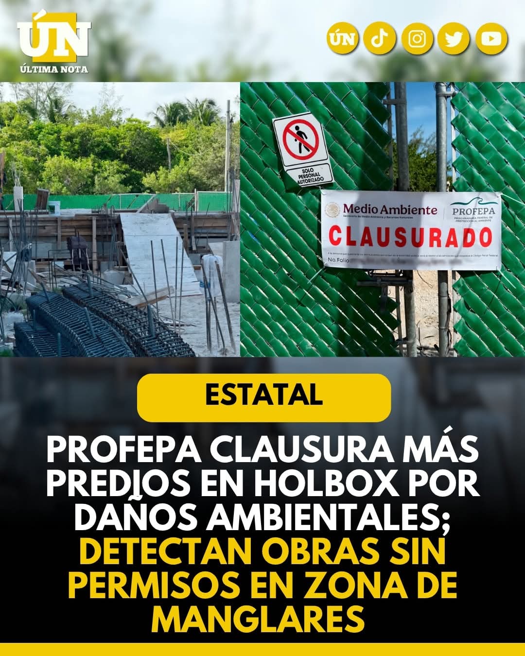 Profepa clausura más predios en Holbox por daños ambientales; detectan obras sin permisos en zona de manglares.