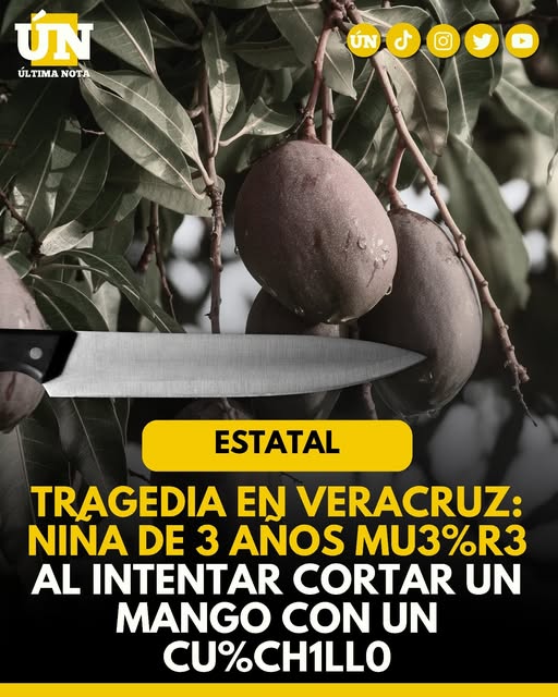 Tragedia en Veracruz: Niña de 3 años mu3%r3 al intentar cortar un mango con un cu%ch1ll0
