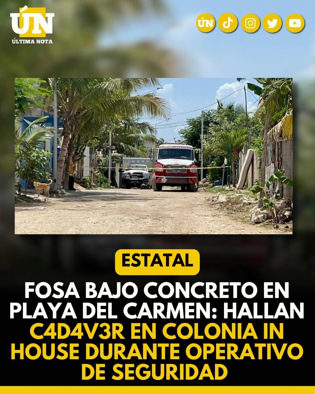 F0s4 bajo concreto en Playa del Carmen: hallan c4d4v3r en colonia In House durante operativo de seguridad.