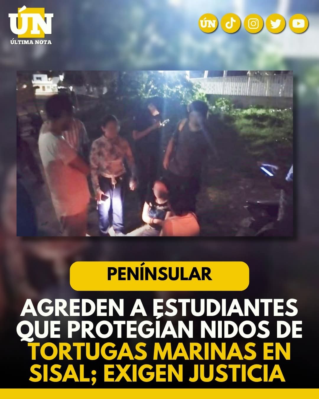 4gr3d3n a estudiantes que protegían nidos de tortugas marinas en Sisal; exigen justicia.