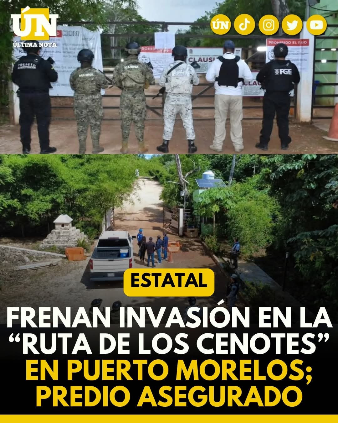 Frenan invasión en la “Ruta de los Cenotes” en Puerto Morelos; predio asegurado.