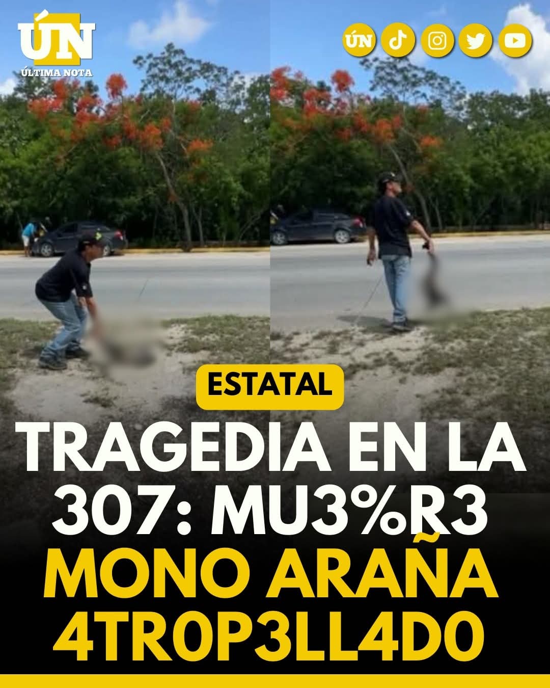 Tragedia en la 307: mu3%r3 mono araña 4tr0p3ll4d0.