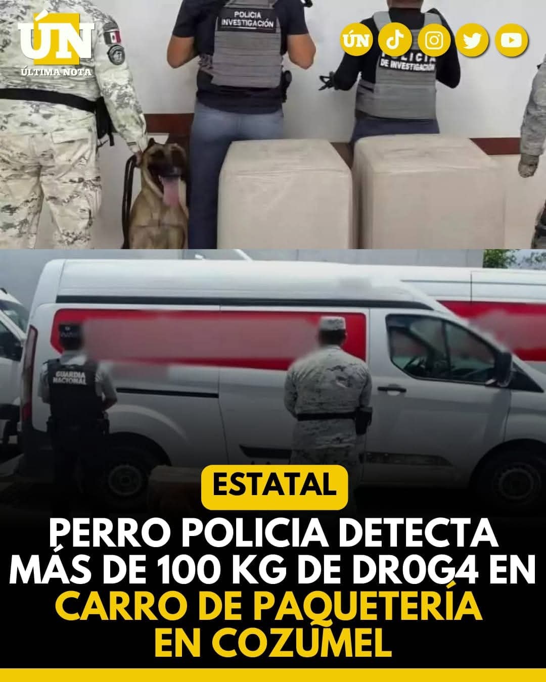 K-9 detecta más de 100 kilos de presunta m4r1hu4n4 en paquetería de Cozumel.