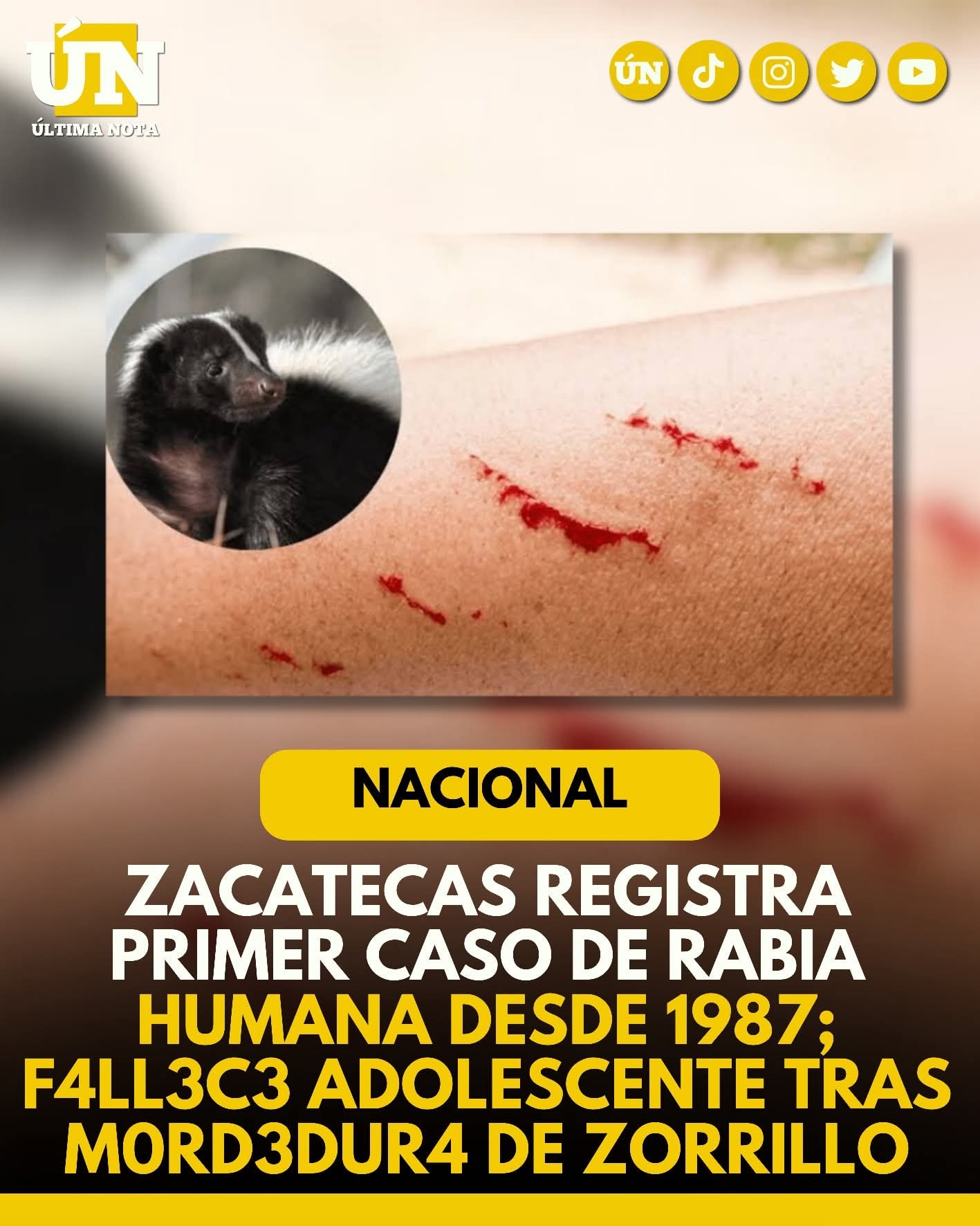 Zacatecas registra primer caso de rabia humana desde 1987; fallece adolescente tras mordedura de zorrillo.