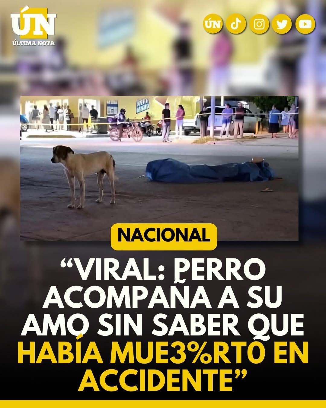 “Viral: perro acompaña a su amo sin saber que había mue3%rt0 en accidente”.
