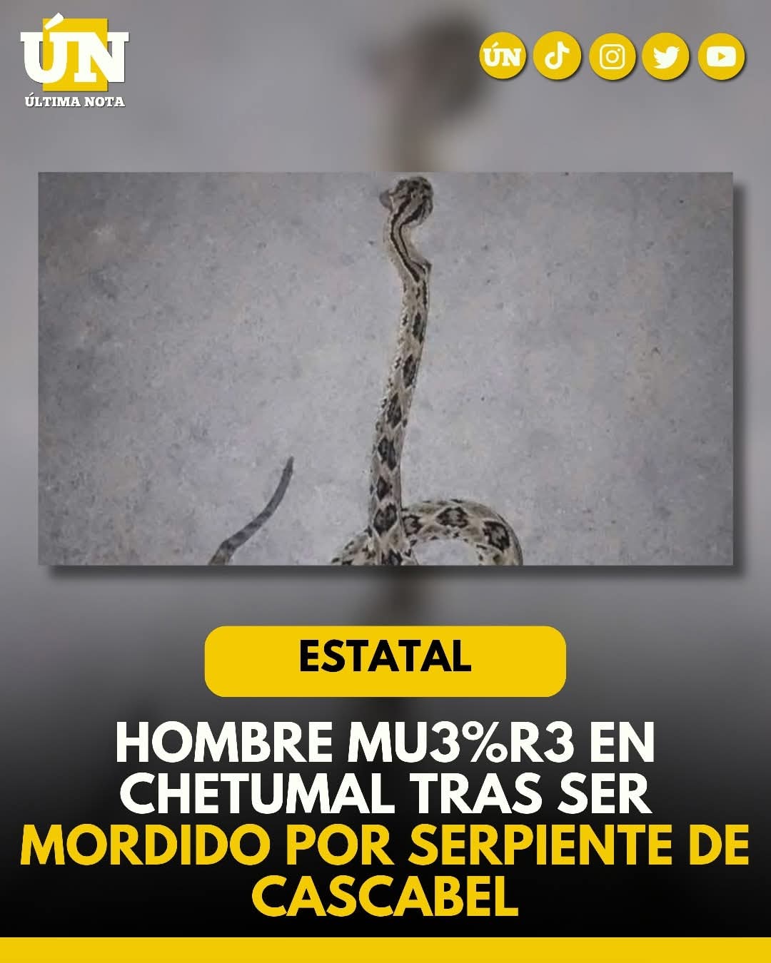 Hombre mu3%r3 en Chetumal tras ser mordido por serpiente de cascabel.