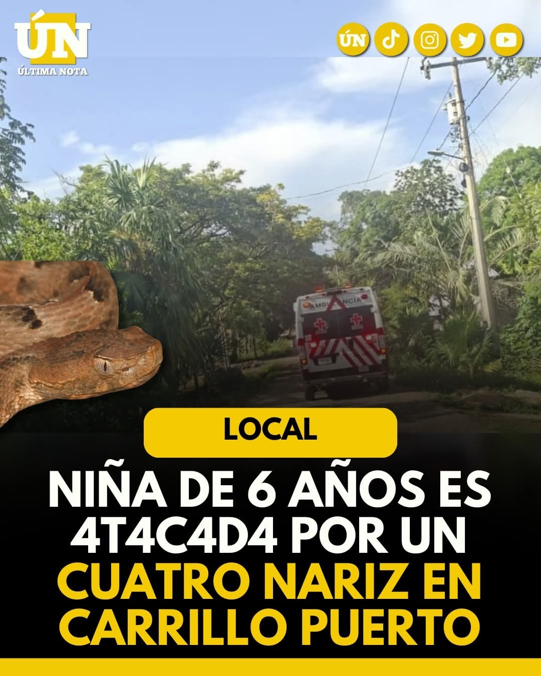 Niña de Tzukum es ingresada de urgencia tras mordedura de serpiente.