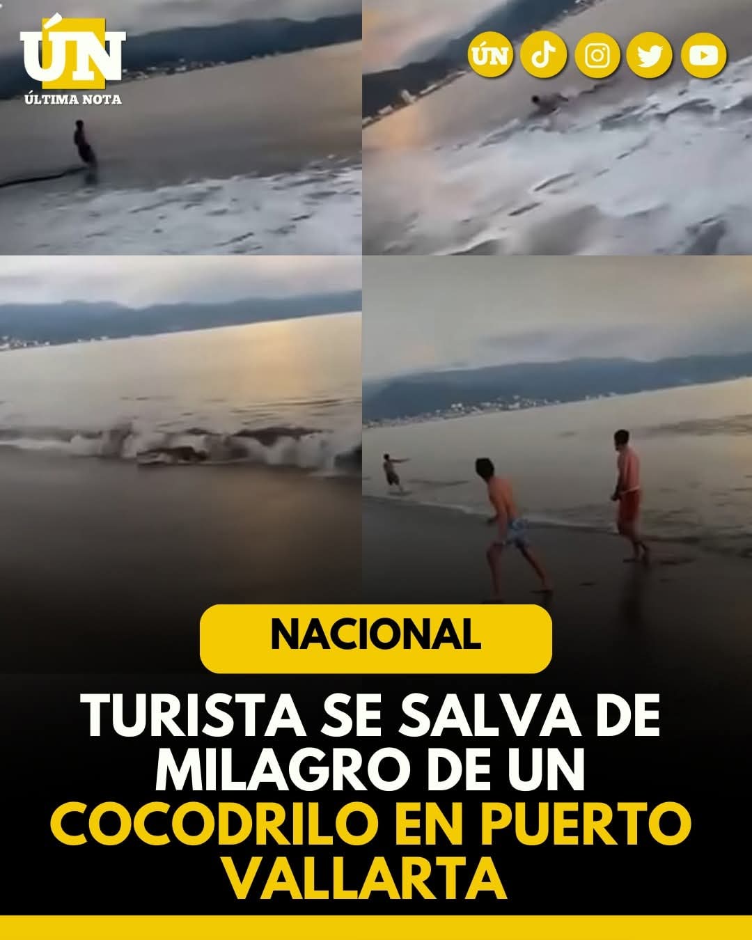 Turista se salva de milagro de un cocodrilo en Puerto Vallarta.