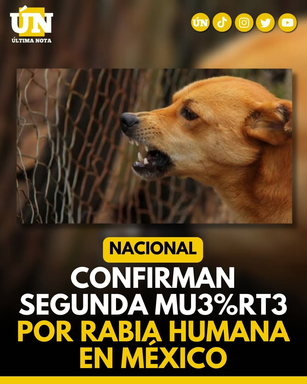 Confirman segunda mu3%rt3 por rabia humana en México .