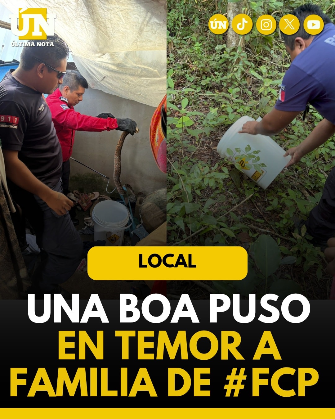 Una boa puso en temor a familia de FCP.