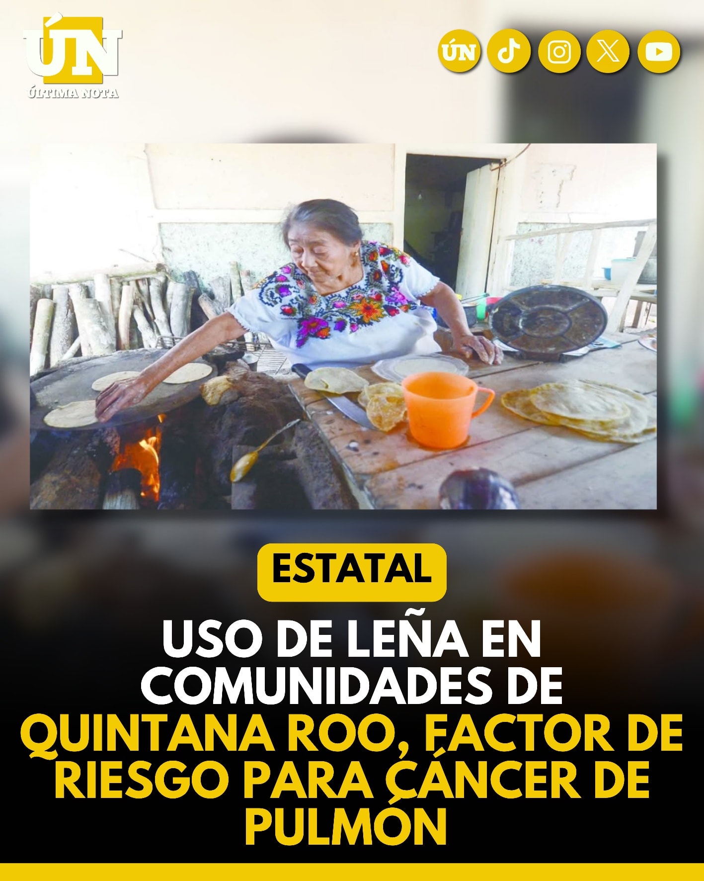 Uso de leña en comunidades de Quintana Roo, factor de riesgo para cáncer de pulmón.