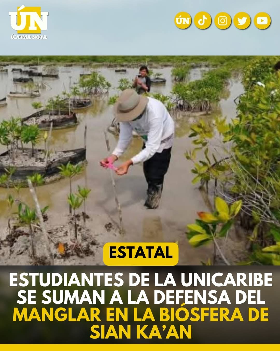 Estudiantes de la Unicaribe se suman a la defensa del manglar en la Biósfera de Sian Ka’an.