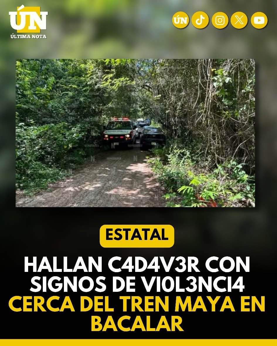 Hallan c4d4v3r con signos de vi0l3nci4 cerca del Tren Maya en Bacalar.
