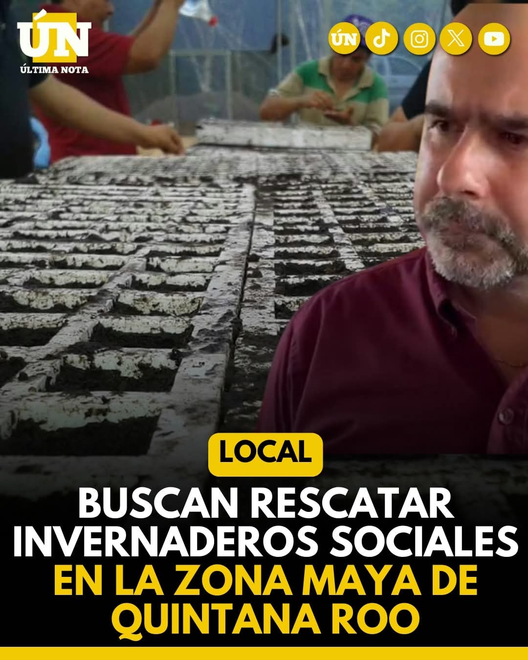 Buscan rescatar invernaderos sociales en la zona maya de Quintana Roo.
