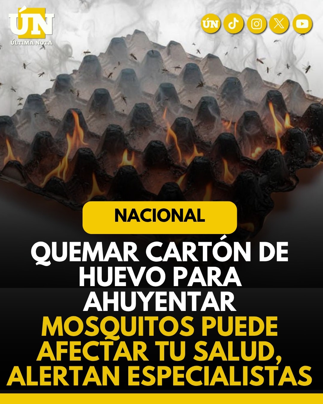 Quemar cartón de huevo para ahuyentar mosquitos puede afectar tu salud, alertan especialistas.