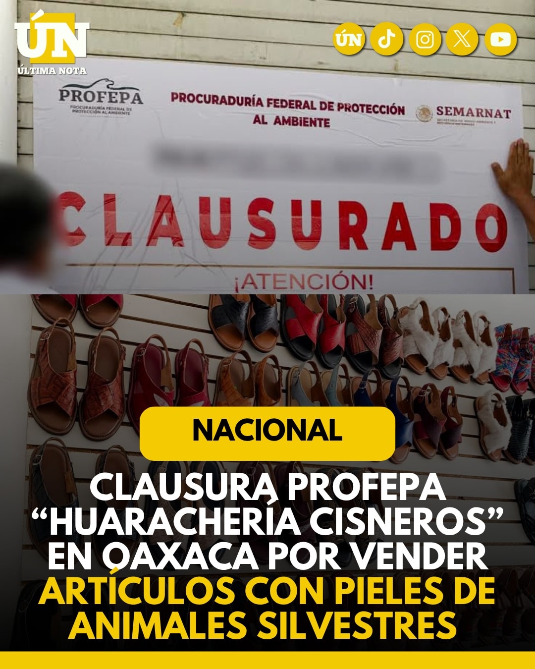 Clausura Profepa “Huarachería Cisneros” en Oaxaca por vender artículos con pieles de animales silvestres.