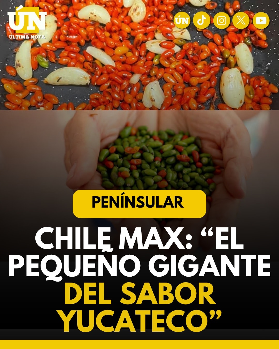 “Chile Max: el pequeño gigante del sabor yucateco”.
