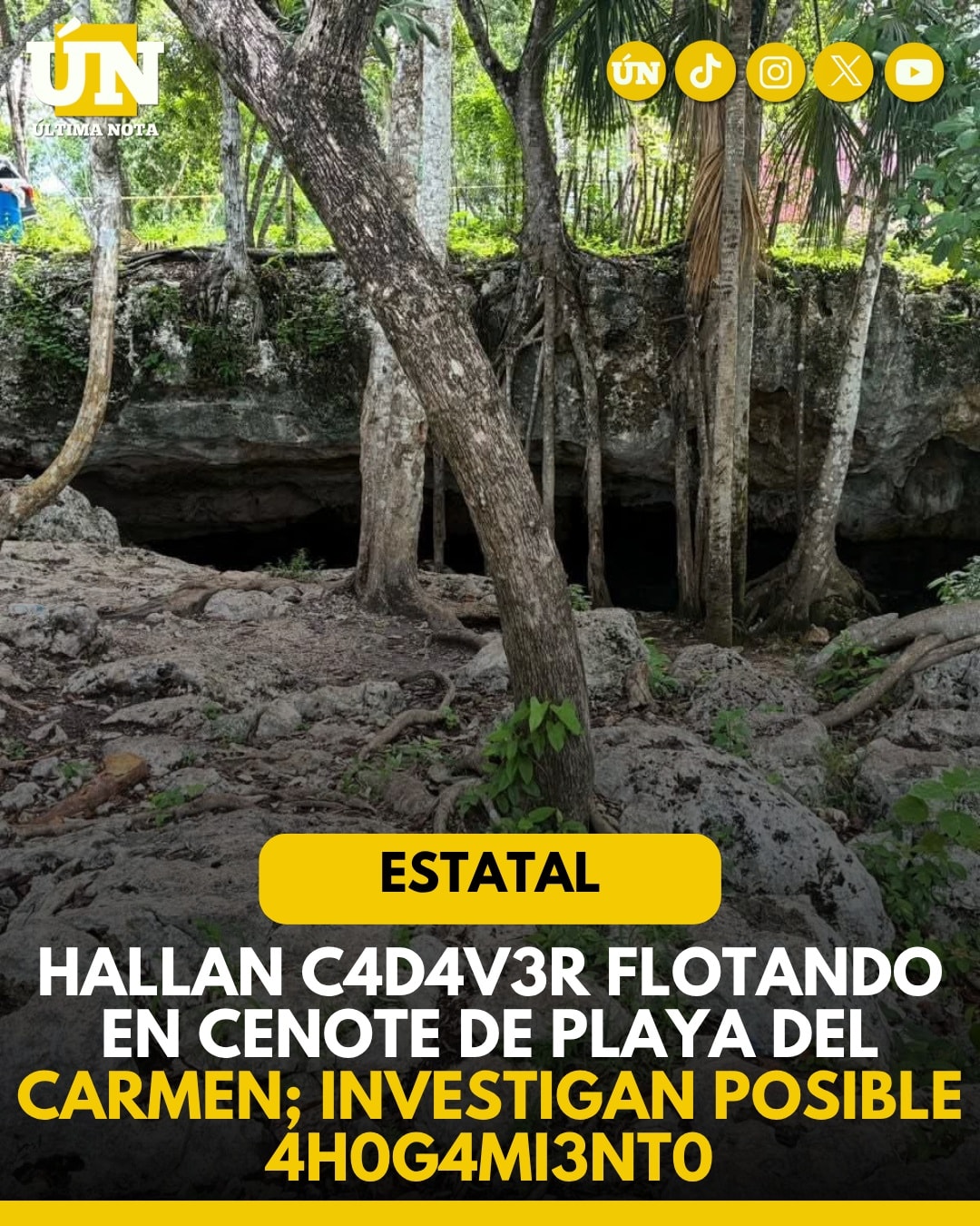Hallan c4d4v3r flotando en cenote de Playa del Carmen; investigan posible ah0g4mi3nt0.