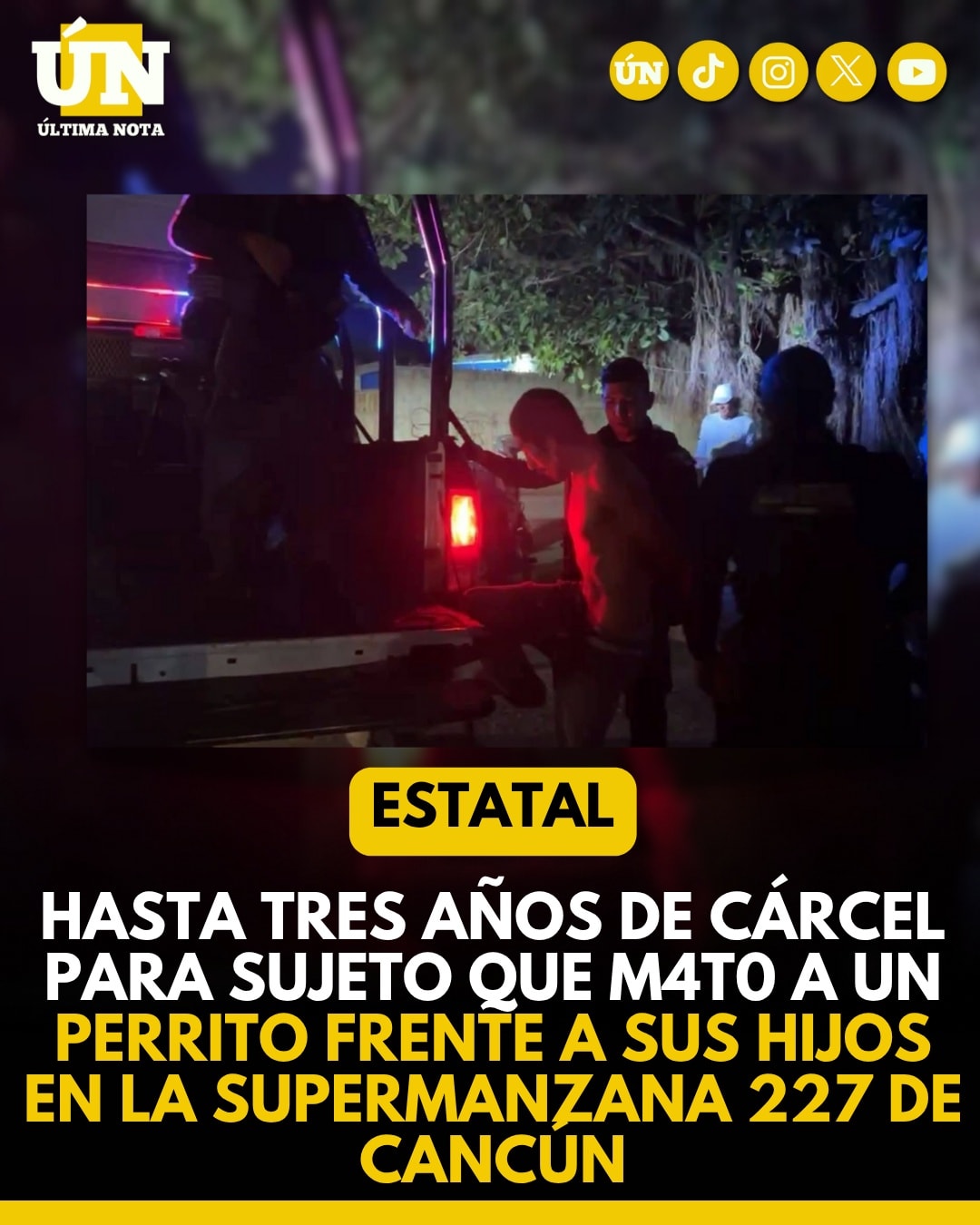 Hasta tres años de cárcel para sujeto que m4t0 a un perrito frente a sus hijos en la Supermanzana 227 de Cancún.