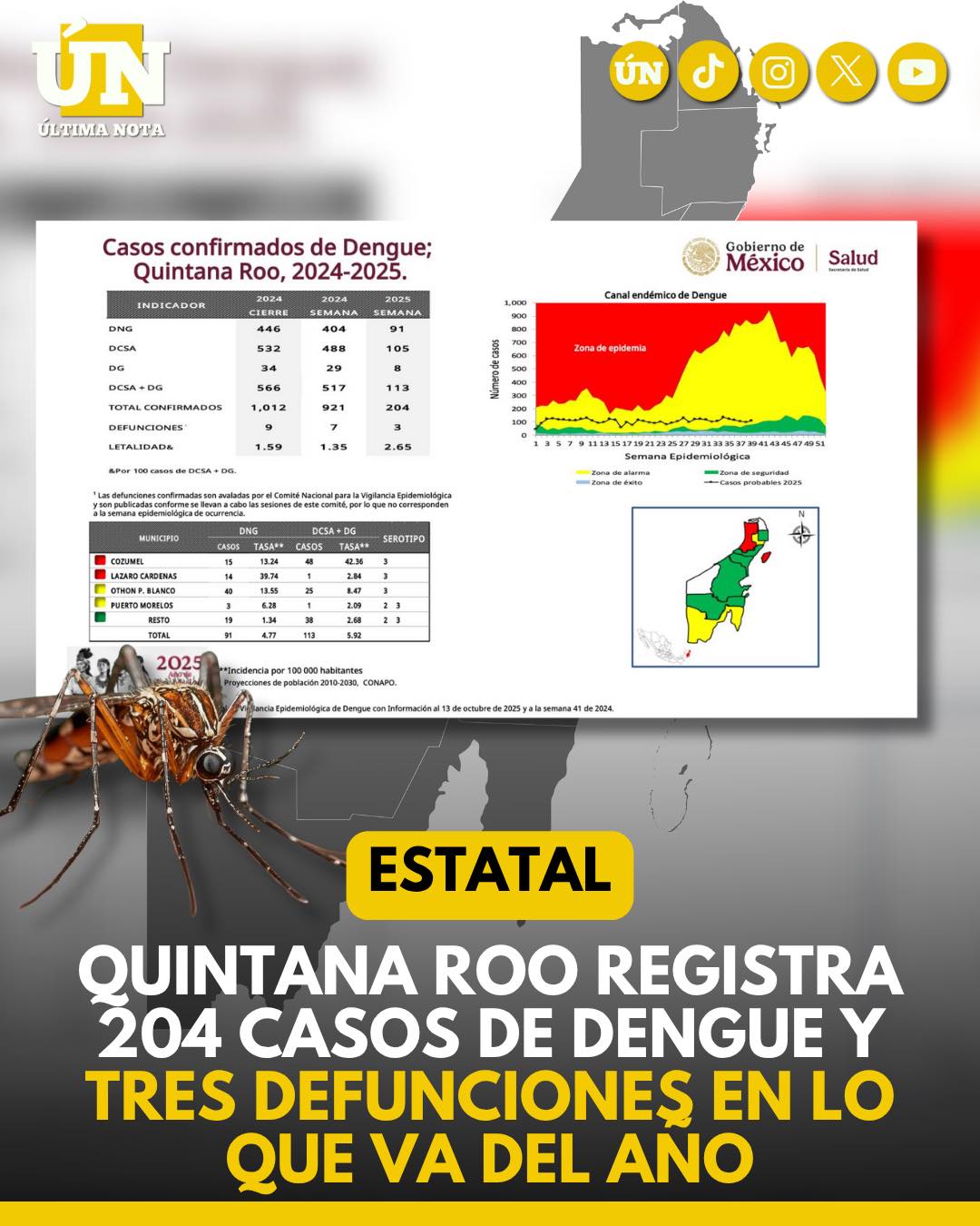 Quintana Roo registra 204 casos de dengue y tres defunciones en lo que va del año.