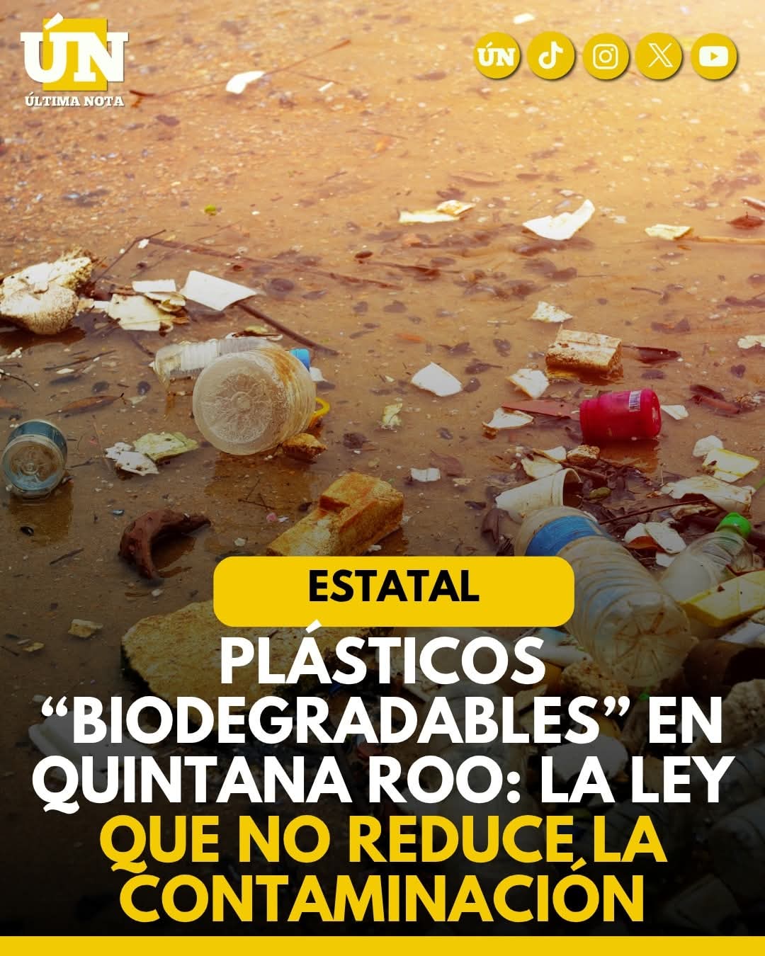 Plásticos “biodegradables” en Quintana Roo: la ley que no reduce la contaminación.