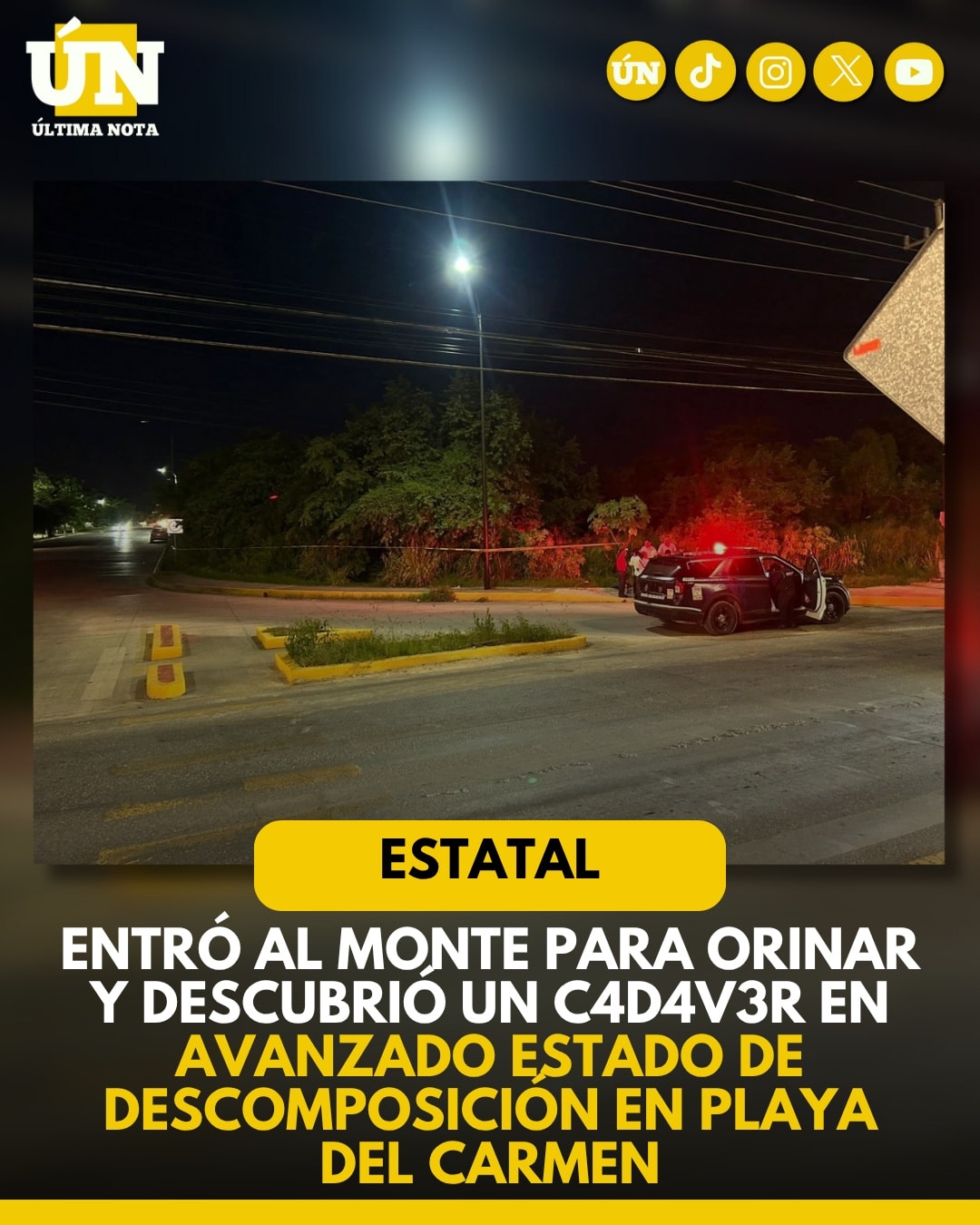 Entró al monte para orinar y descubrió un cadáver en avanzado estado de descomposición en Playa del Carmen.