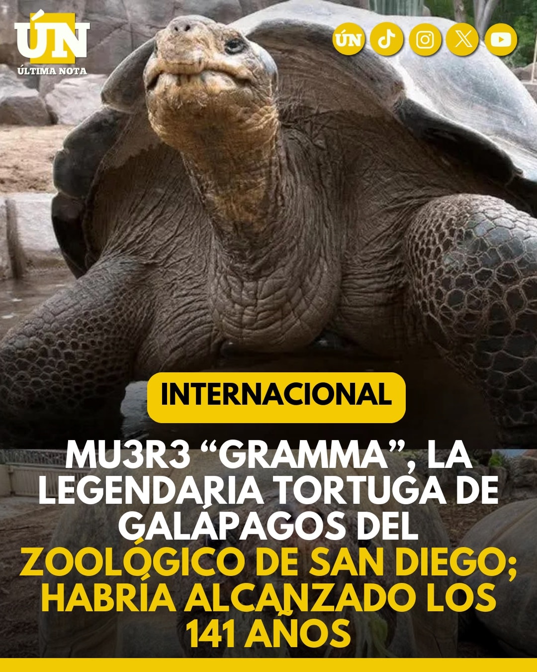 Mu3r3 “Gramma”, la legendaria tortuga de Galápagos del Zoológico de San Diego; habría alcanzado los 141 años.