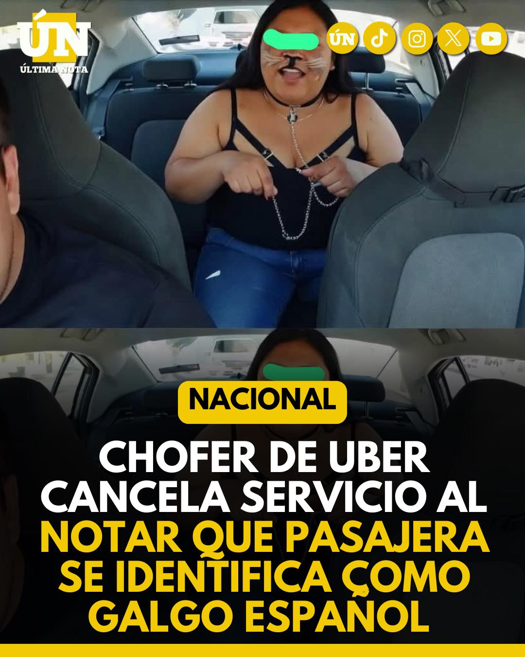 “Aquí no se pasean galgos”: Chofer de Uber cancela viaje a pasajera therian