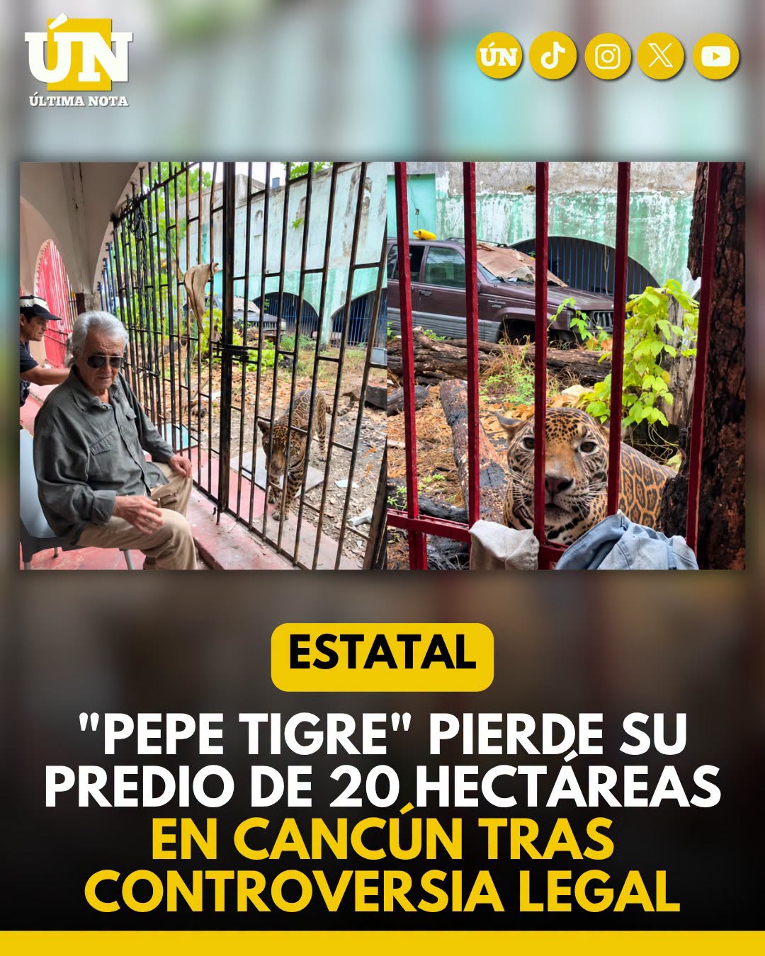 “Pepe Tigre” pierde su predio de 20 hectáreas en Cancún tras controversia legal