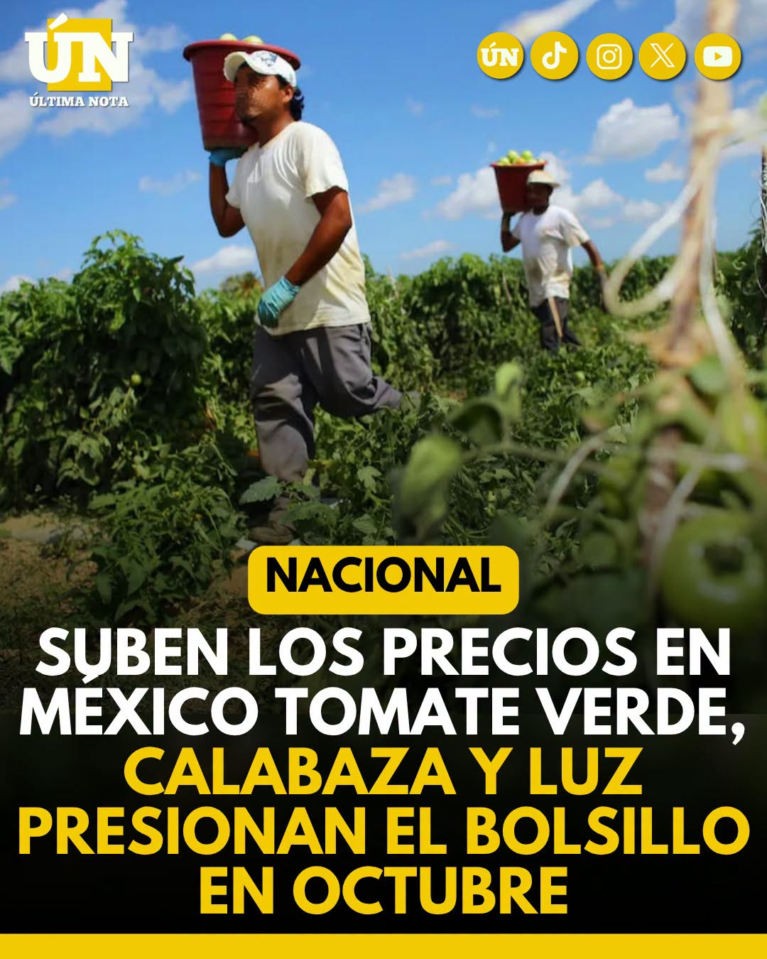 suben los precios en México tomate verde, calabaza y luz presionan el bolsillo en octubre